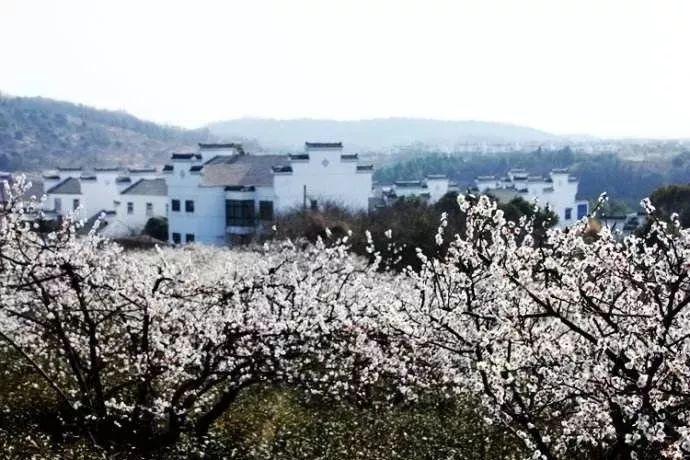 芭蕾舞者美容院